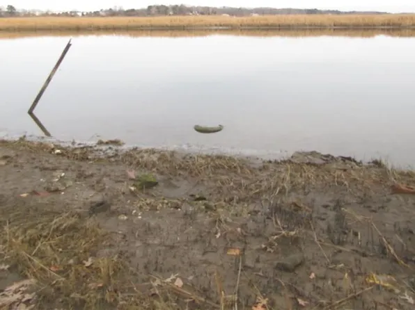 403 S Church St, Smithfield, VA 23430