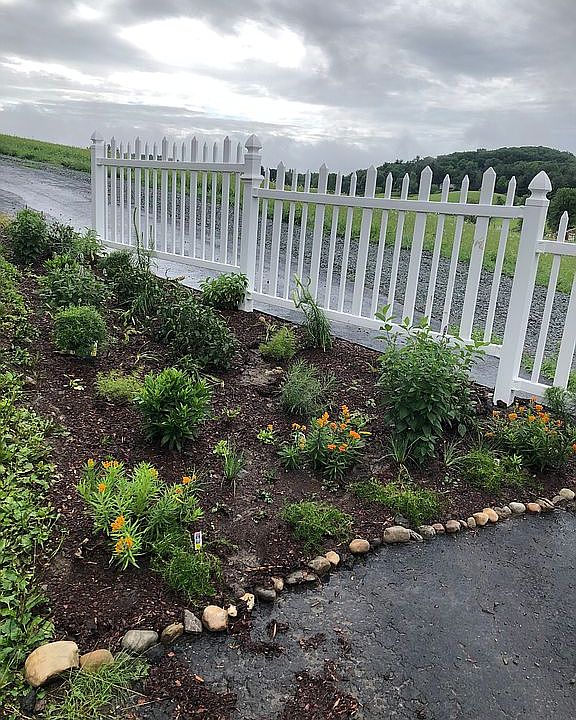 Native perennial garden