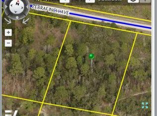 10004 Zebrafinch Ave, Weeki Wachee, FL 34614