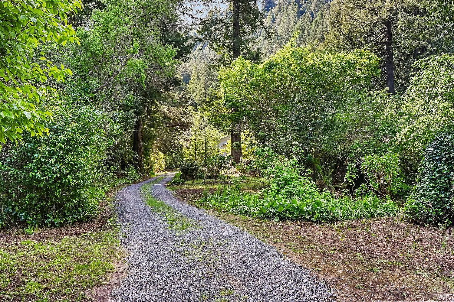 1365 Austin Creek Road - Photo 7