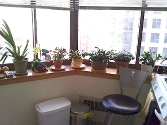 Rented by Maz Group NY