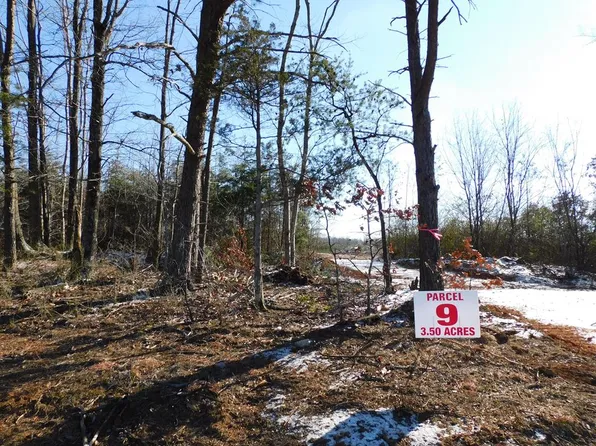 3.50 Strawberry Rd, Chatham, VA 24531