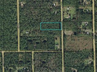 1192 Lancewood St, Bunnell, FL 32110