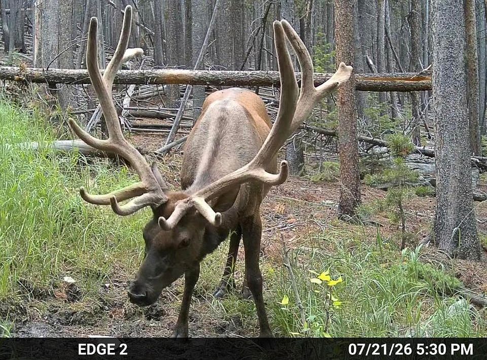 1st image of 0 Twin Spruce Rd