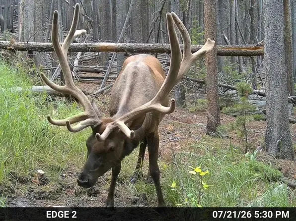 0 Twin Spruce Rd, Golden, CO 80403