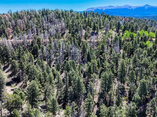 3454 N Mountain Estates Road LOT 1436, Florissant, CO 80816
