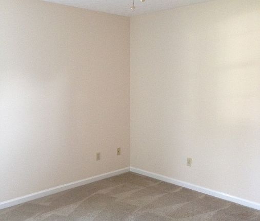 download (5)_08132018