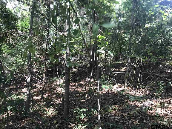 4th image of LOT 7 County Road 1297