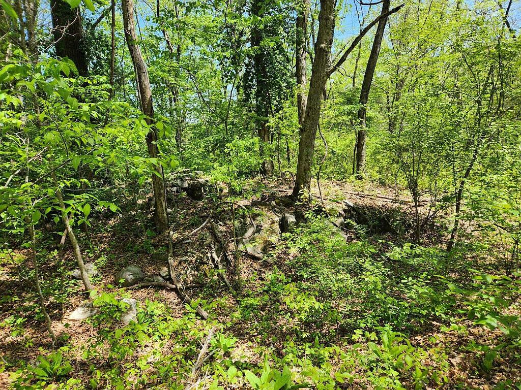 Tbd Milligan Hwy, Johnson City, TN 37601 MLS 9951225 Zillow