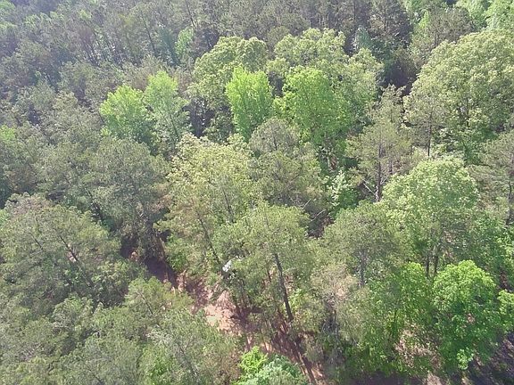4th image of New Light Rd