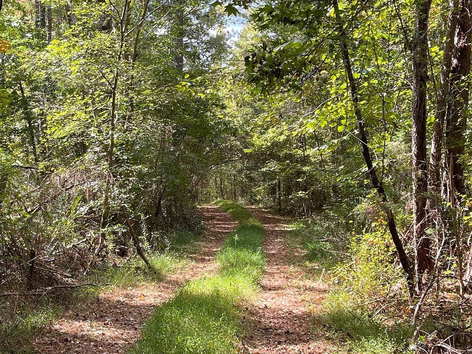 LOT 1 Mooney Rd 1, Columbiana, AL 35051 Zillow