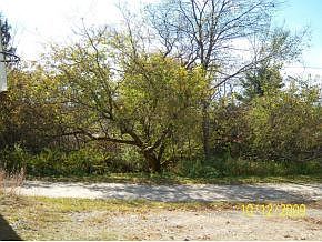2nd image of 565 Lancaster Rd