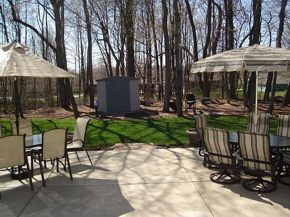 Patio View Tree Line