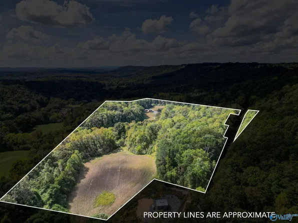 6021 Sand Valley Rd, Attalla, AL 35954