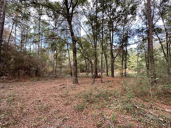 4th image of 14th St Lot 17