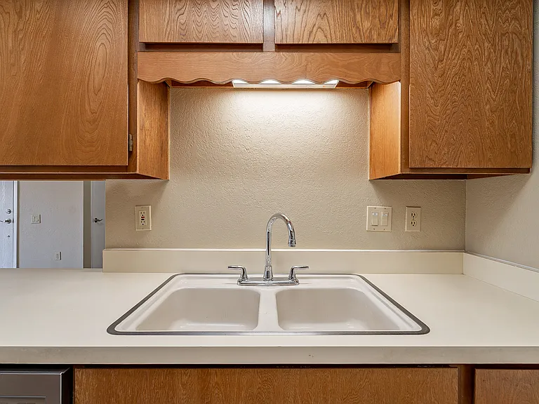 1430 W Camino Lucientes — Photo 14