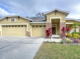 15826 Starling Water Dr, Lithia, FL 33547