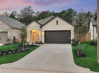 226 Sky Top Dr, Montgomery, TX 77316