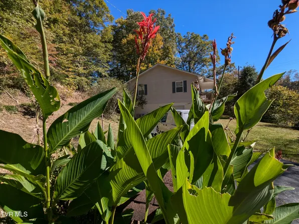 3020 Canton Rd, Blackwater, VA 24221