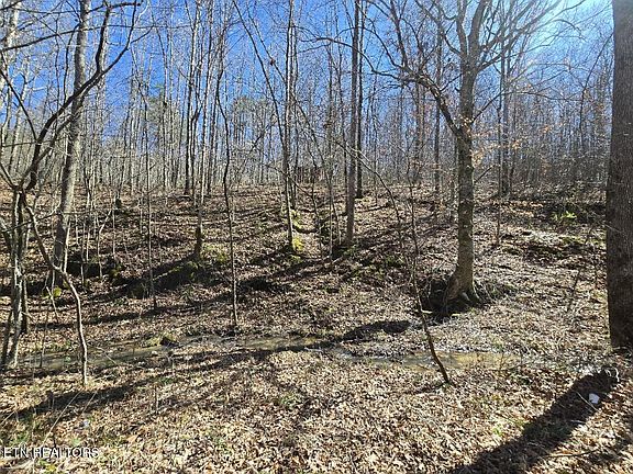 3rd image of 0 Straight Fork Rd