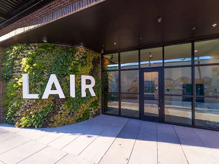 The Lair — Photo 19