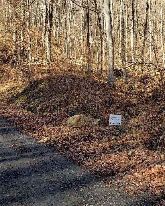 Melton Branch Rd, Bakersville, NC 28705 Zillow