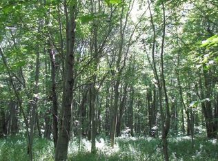 305 Lilly Marsh Rd, Mexico, NY 13114