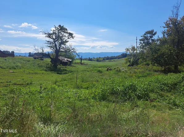 Graceland Ln, Afton, TN 37616