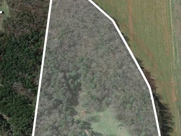 7384 Wayside Rd, Christiana, TN 37037