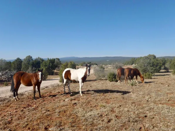 Alden Estrada Dr, Serafina, NM 87569
