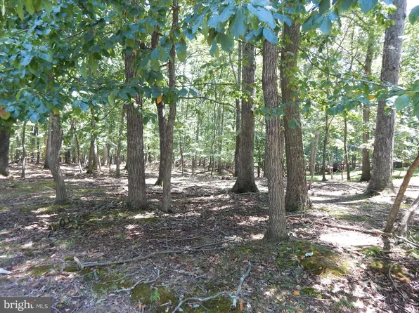 1417 Sideling Mountain Trl, Great Cacapon, WV 25422