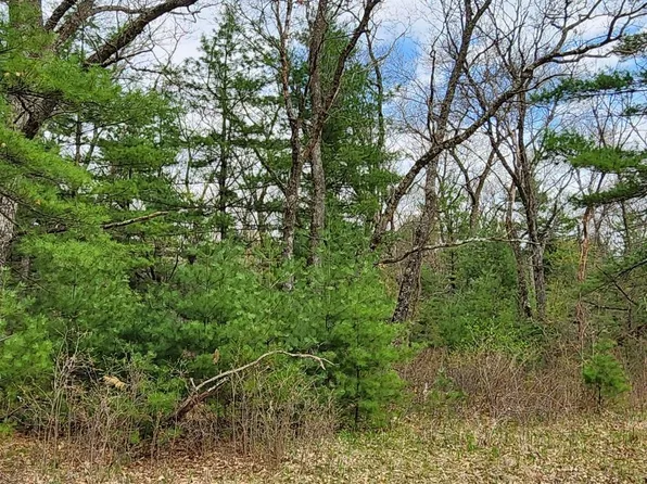 6.6 AC 1st Dr #1, Coloma, WI 54930