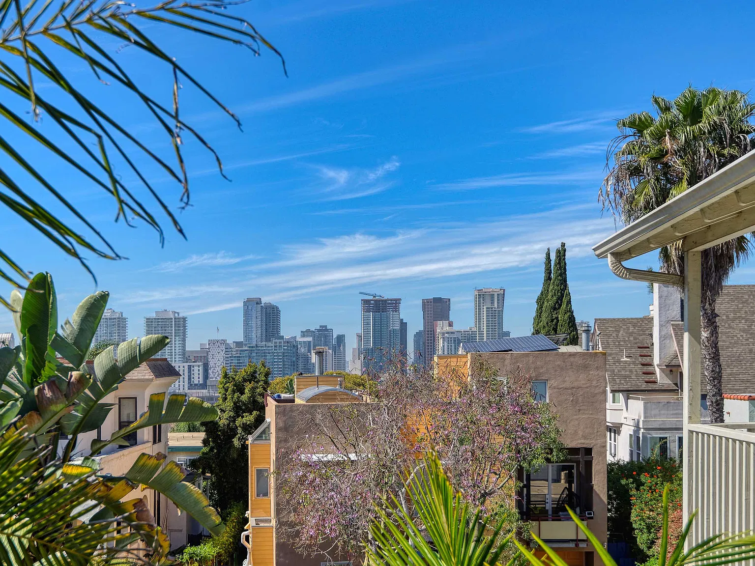 1 bed, 900 sqft, $3,250 — Photo 4