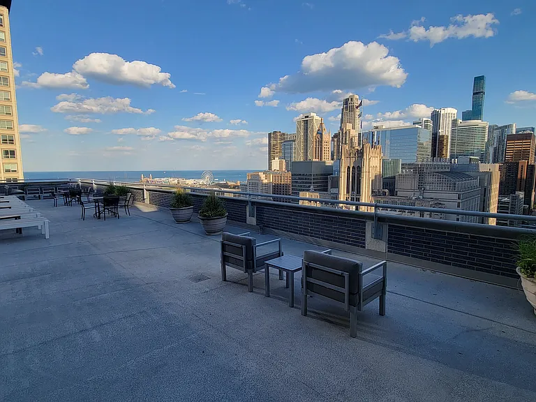 222 E Pearson St #1407 — Photo 26