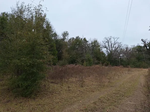 477 SW Grandpa Way, Ft. White, FL 32038