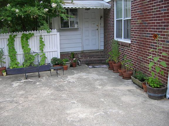 Back door container garden