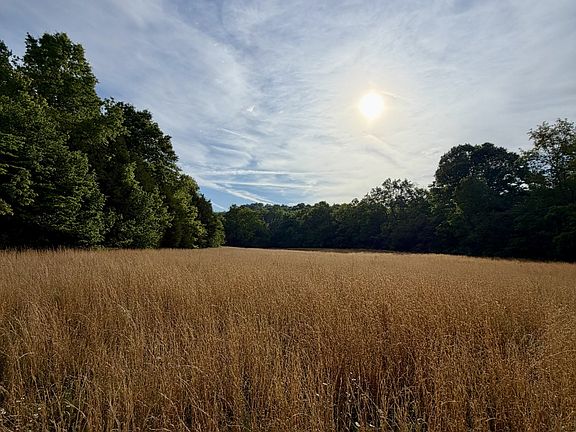 2nd image of 1 Fattybread Branch Rd
