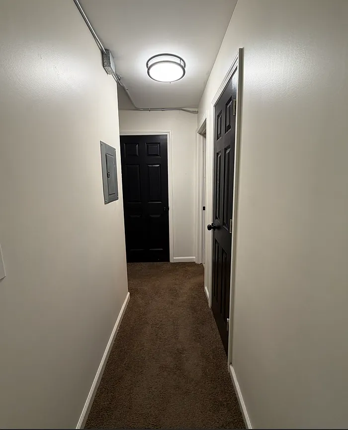 1 bed, 800 sqft, $950 — Photo 4