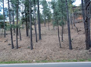 61 Fort Stanton Rd, Alto, NM 88312