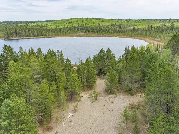 10350 Victor Lake Rd, Isabella, MN 55607