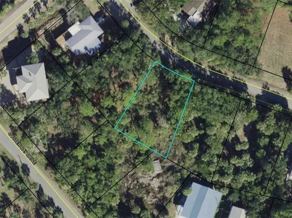 00-00-121-117-12 Blue Dolphin Dr, Crawfordville, FL 32327