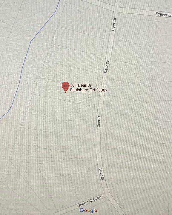 2nd image of 301 Deer Dr