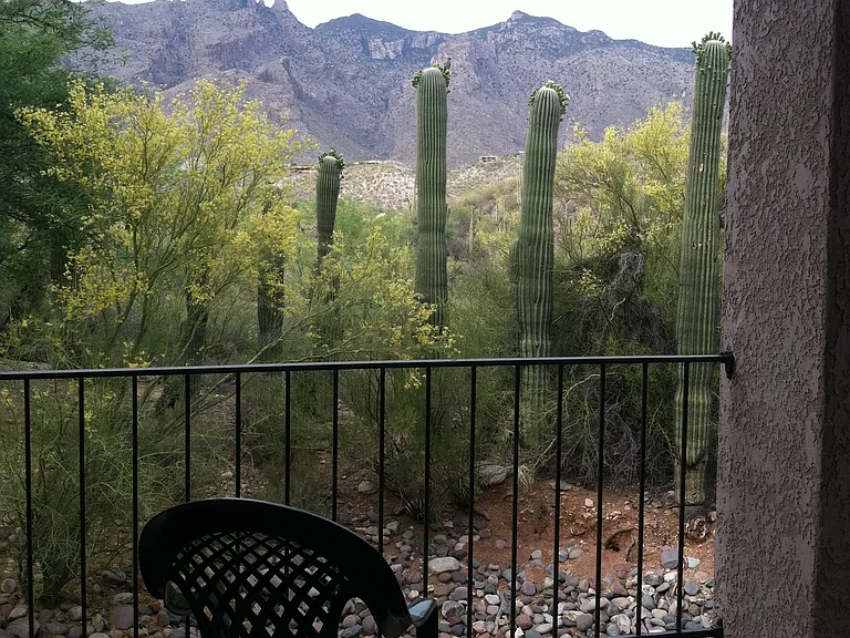 6460 N Tierra De Las Catalinas #116 — Photo 7