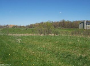 4233 Tara Way, Medina, OH 44256