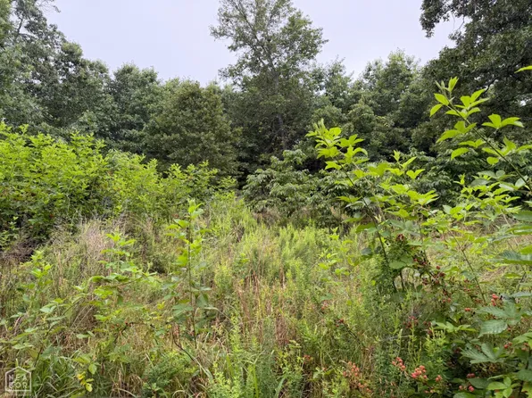 1 Morgan Cave Rd, Harrison, AR 72601