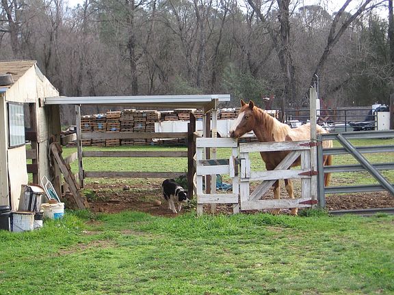 KEEP YOUR LIVESTOCK CLOSE!