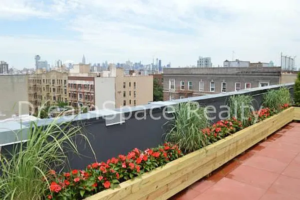 Rented by Dream Space Realty | media 22