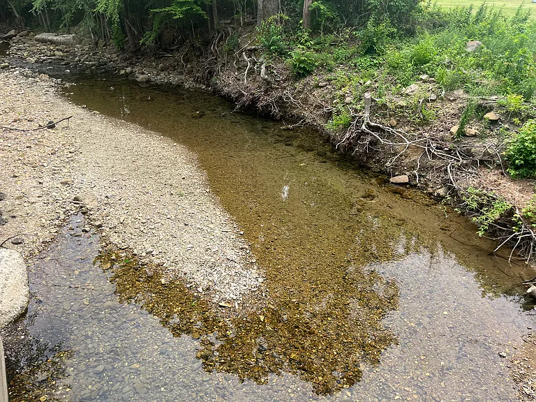 Creek Behind House