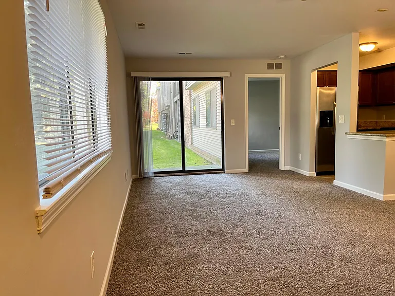 42521 Lilley Pointe Dr — Photo 9