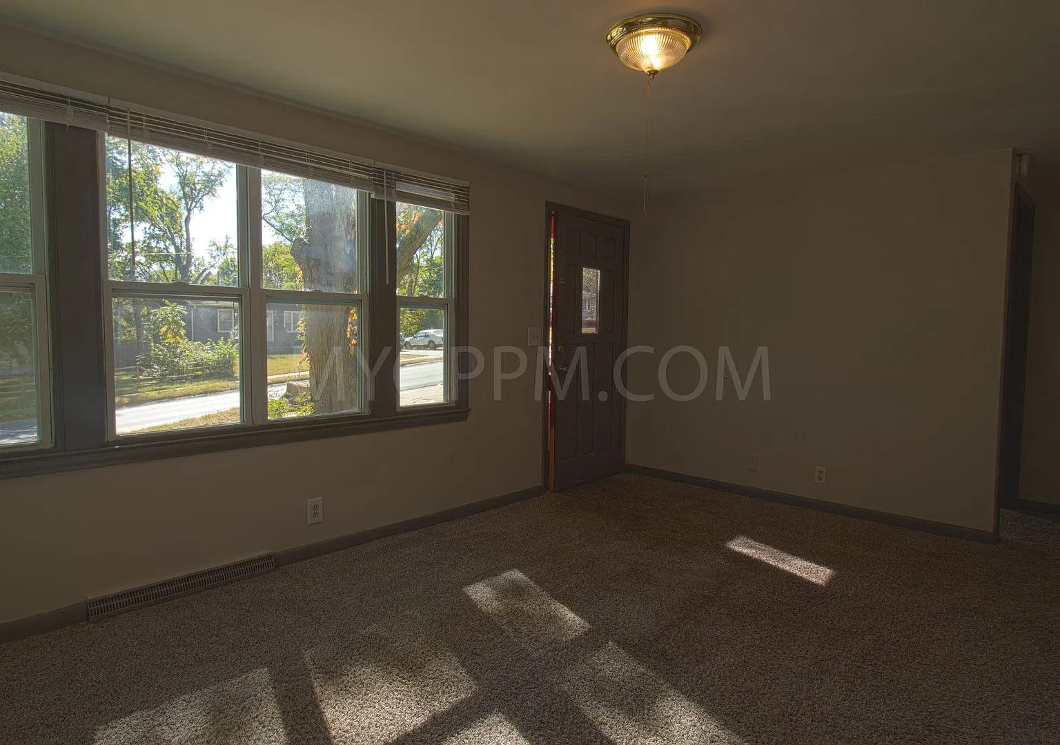 Crawford 4414 Curtis — Photo 4